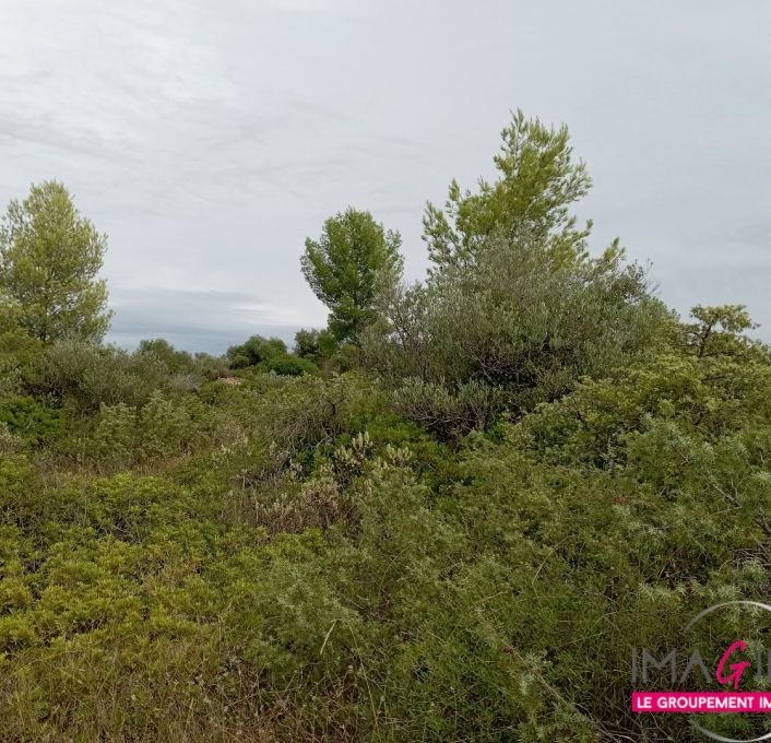 à vendre Terrain non constructible Cournonterral