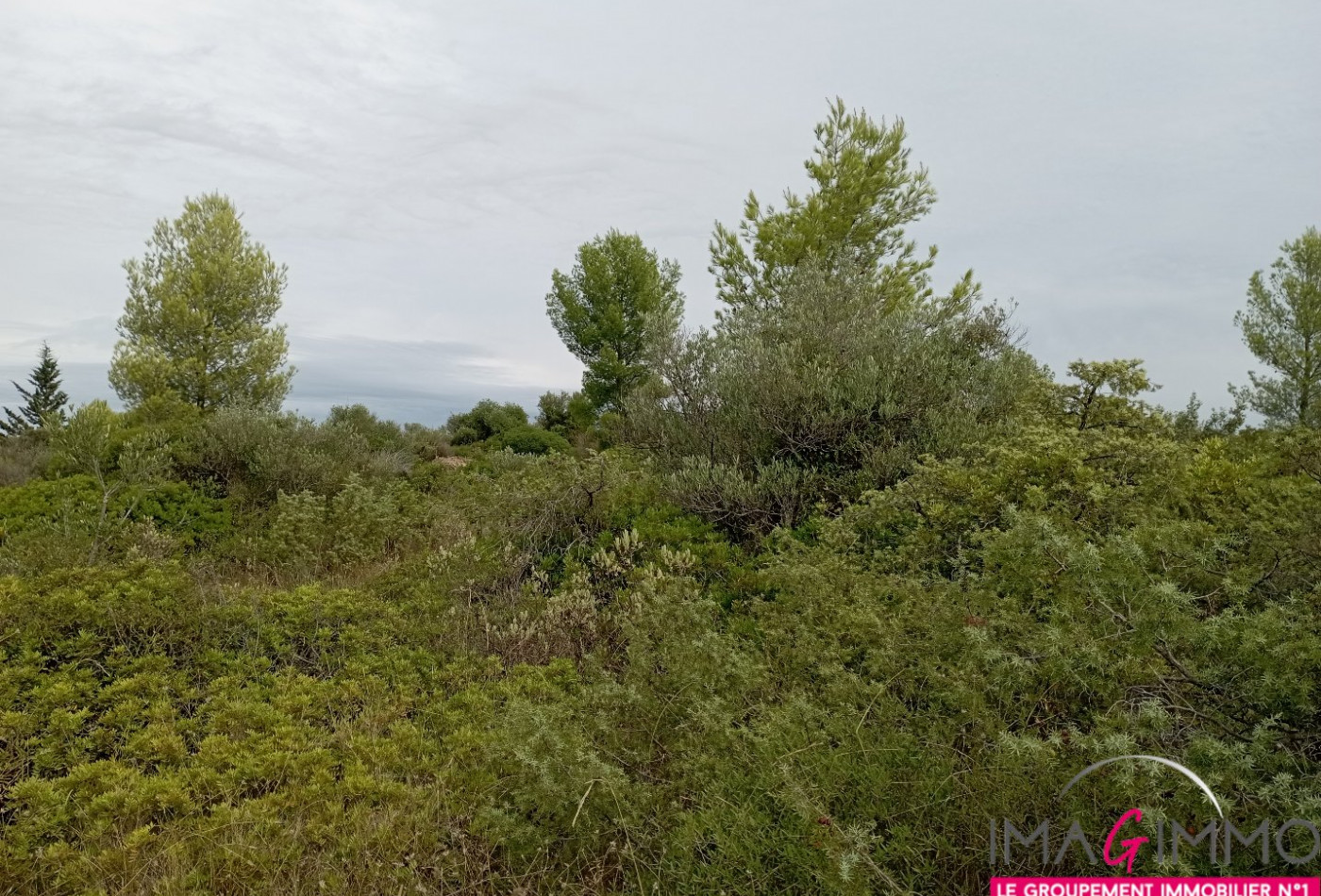 à vendre Terrain non constructible Cournonterral - Photo 3