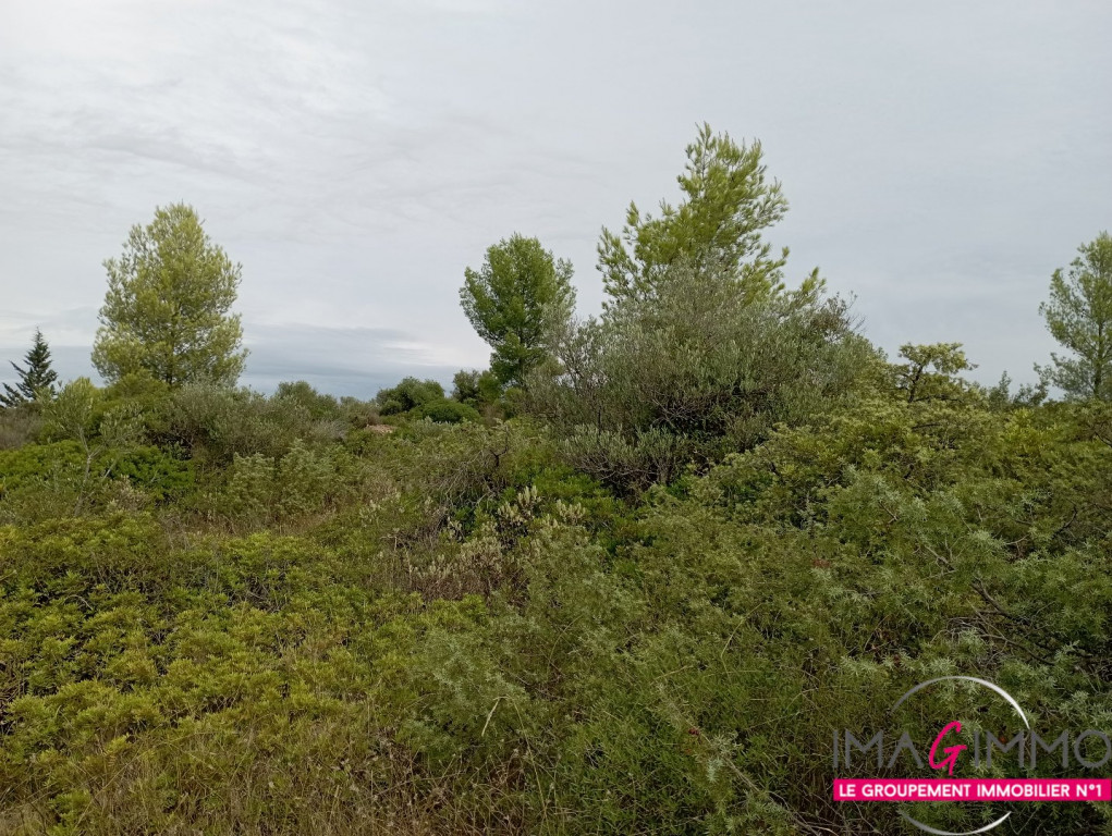 vente Terrain non constructible Cournonterral - Photo 3