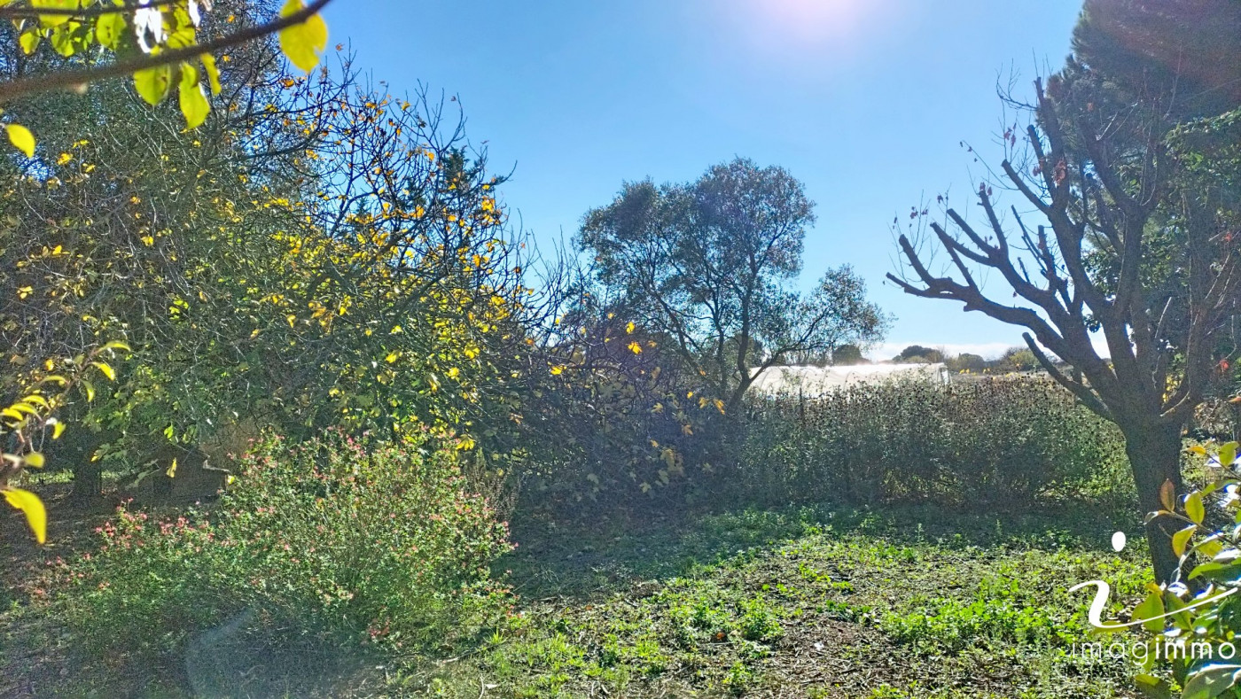 à vendre Mazet Cournonterral - Photo 5