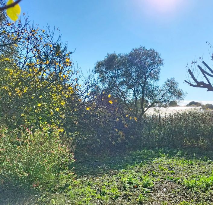 à vendre Mazet Cournonterral