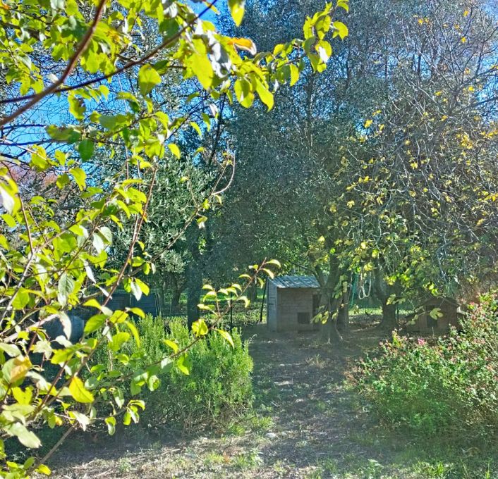 à vendre Mazet Cournonterral