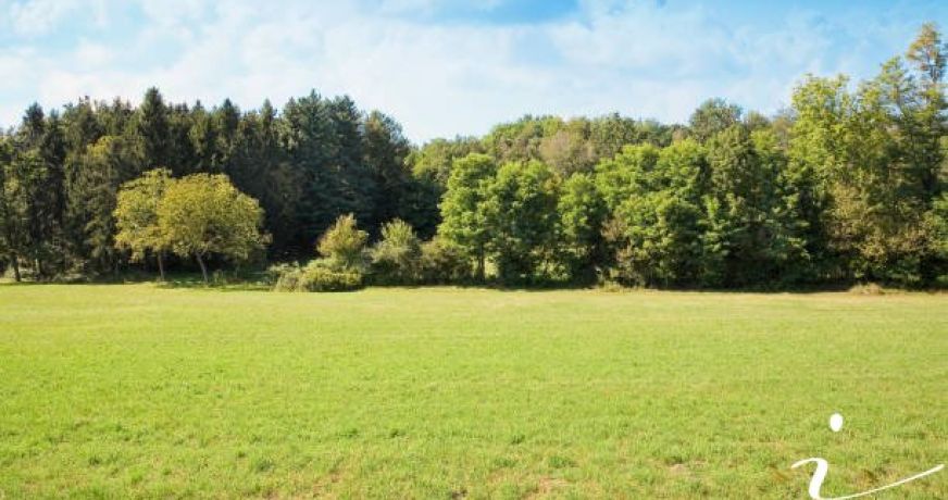 vente Terrain non constructible Cournonterral