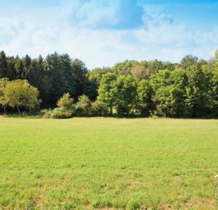 à vendre Terrain non constructible Cournonterral