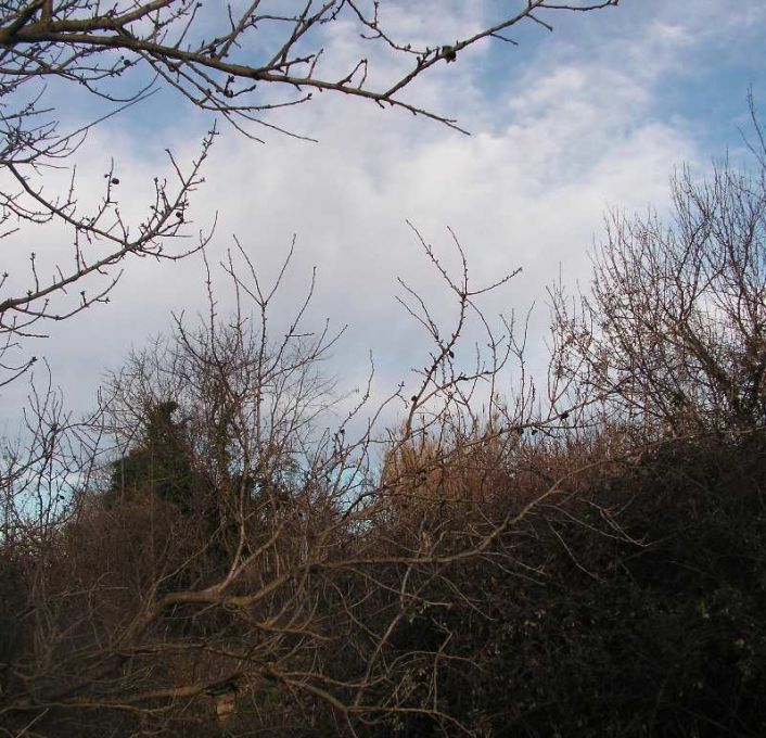 vente Terrain non constructible Saussan