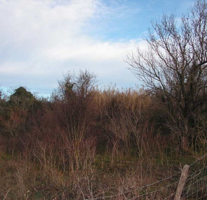 vente Terrain non constructible Saussan