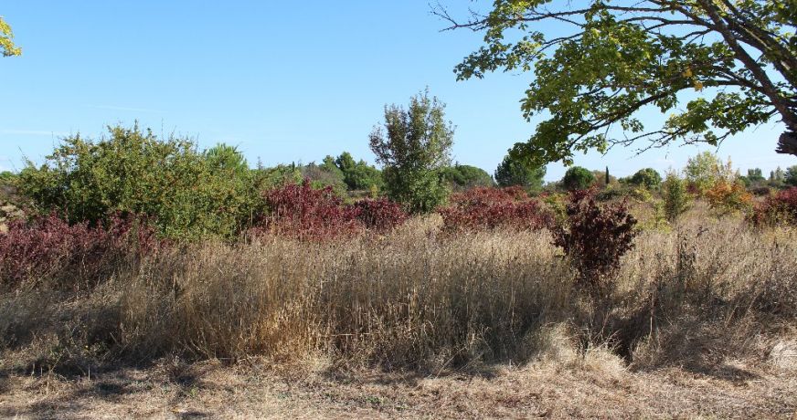 vente Terrain non constructible Fabregues
