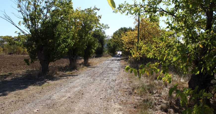 vente Terrain non constructible Fabregues