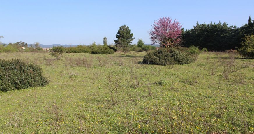 vente Terrain Fabregues
