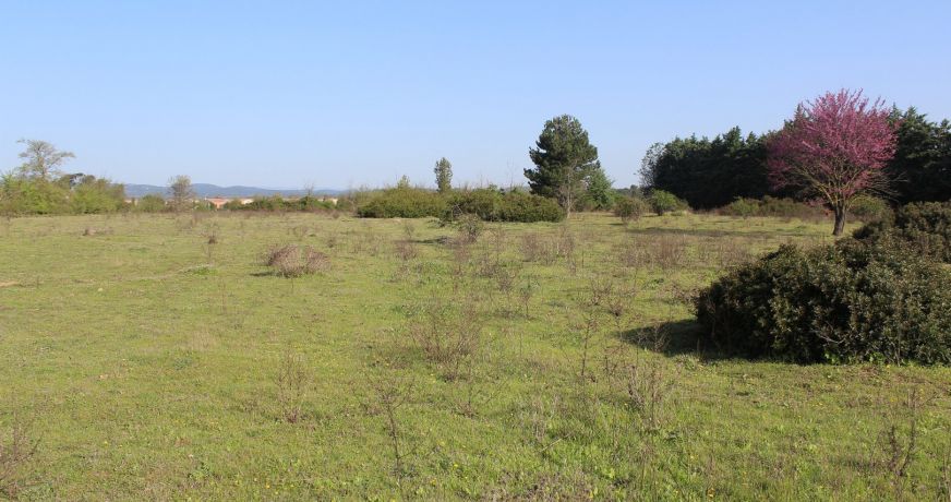 vente Terrain Fabregues