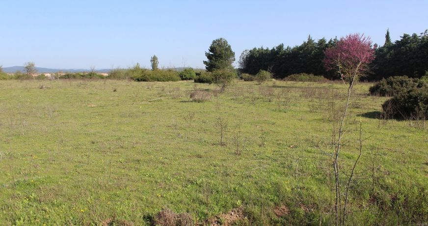 vente Terrain Fabregues