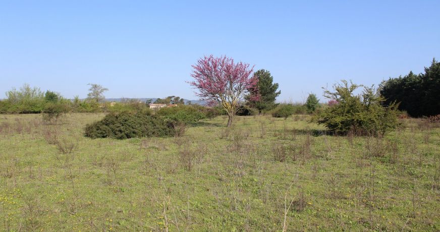 vente Terrain Fabregues
