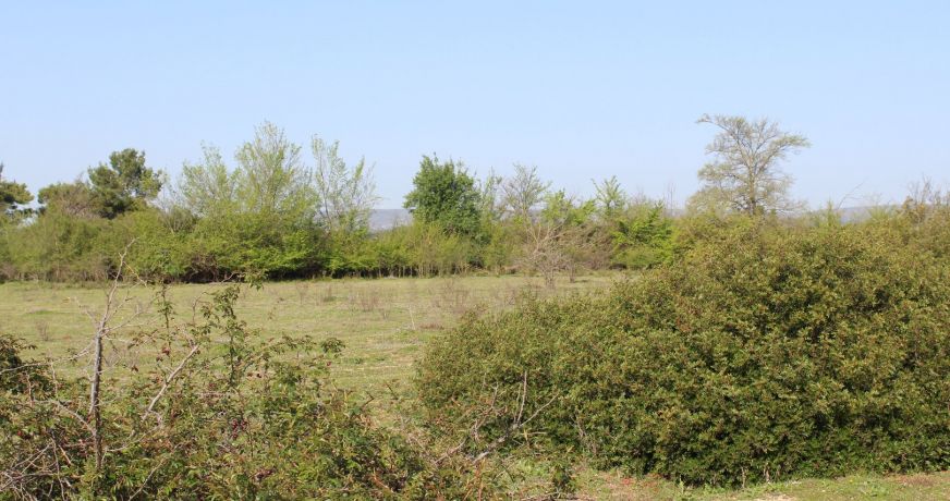 vente Terrain Fabregues