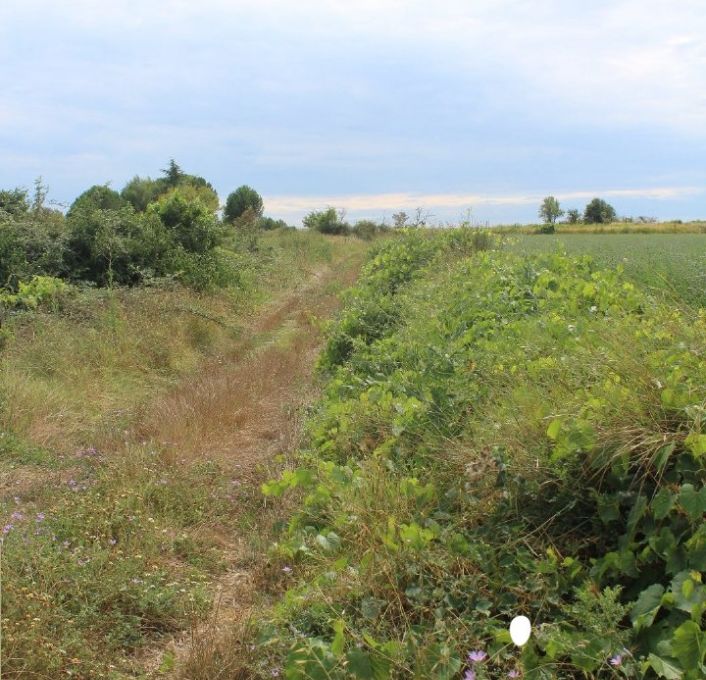 à vendre Terrain non constructible Saussan