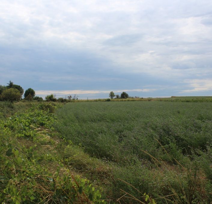 à vendre Terrain non constructible Saussan