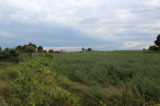 vente Terrain non constructible Saussan