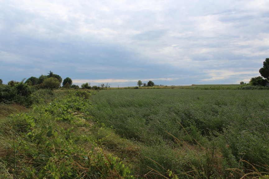 vente Terrain non constructible Saussan