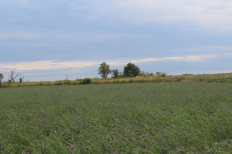 vente Terrain non constructible Saussan - Photo 2