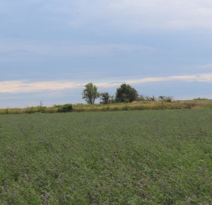 à vendre Terrain non constructible Saussan