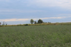 vente Terrain non constructible Saussan