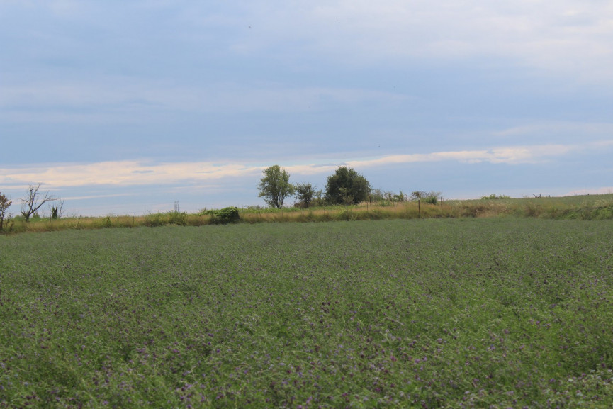 vente Terrain non constructible Saussan