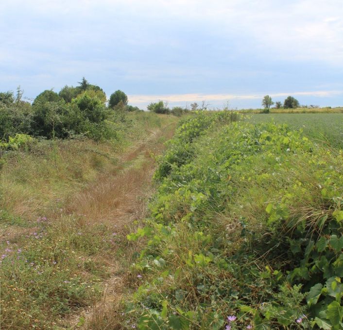 à vendre Terrain non constructible Saussan
