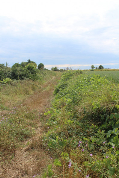 vente Terrain non constructible Saussan