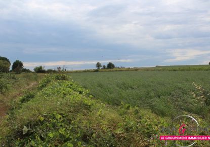 vente Terrain non constructible Saussan