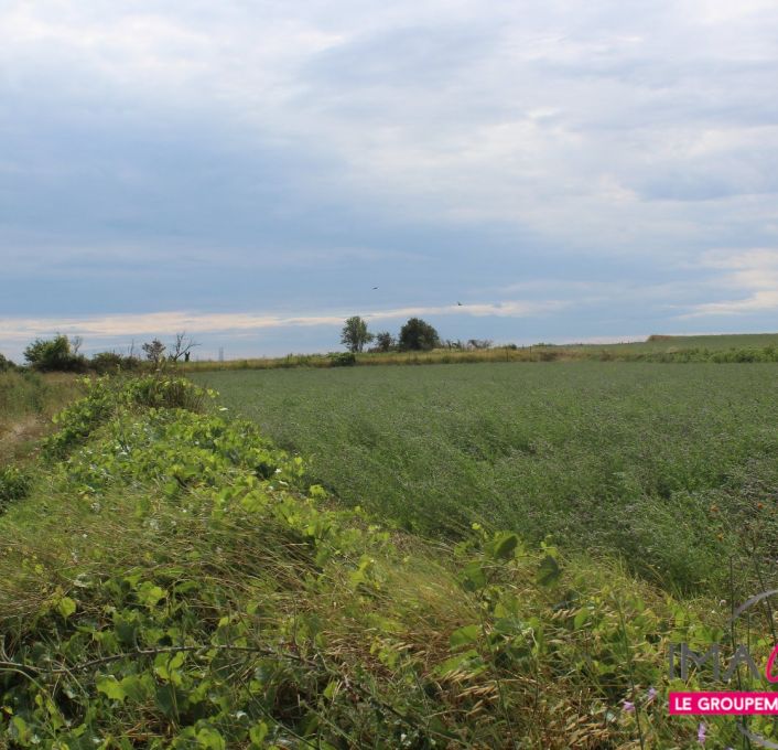 à vendre Terrain non constructible Saussan