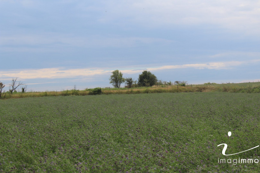 à vendre Terrain non constructible Saussan - Photo 2