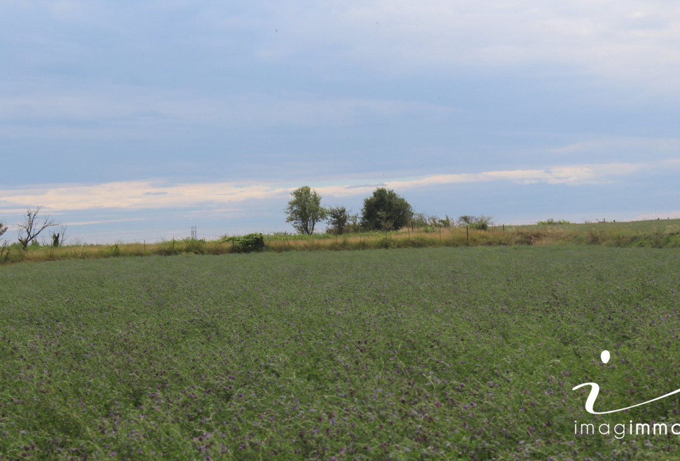 à vendre Terrain non constructible Saussan - Photo 2