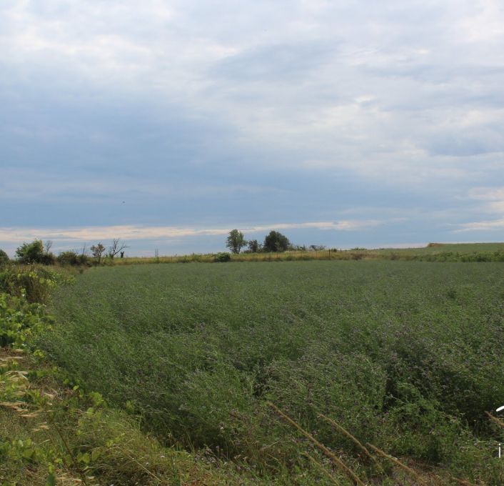à vendre Terrain non constructible Saussan
