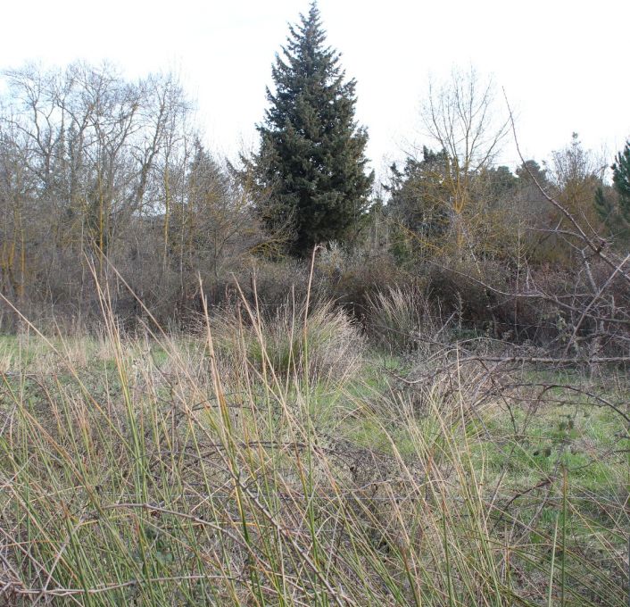 à vendre Terrain non constructible Fabregues