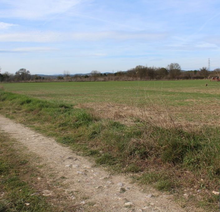 vente Terrain non constructible Fabregues