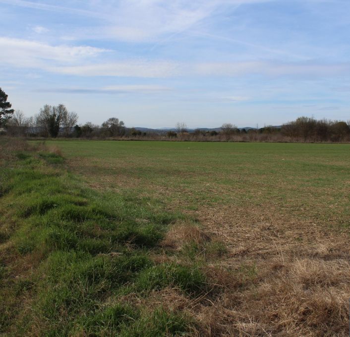 vente Terrain non constructible Fabregues