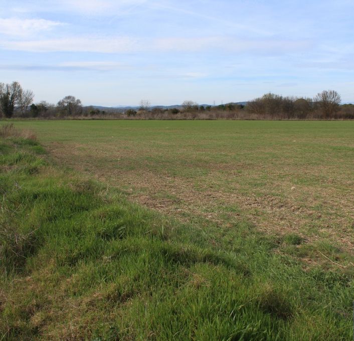 vente Terrain non constructible Fabregues