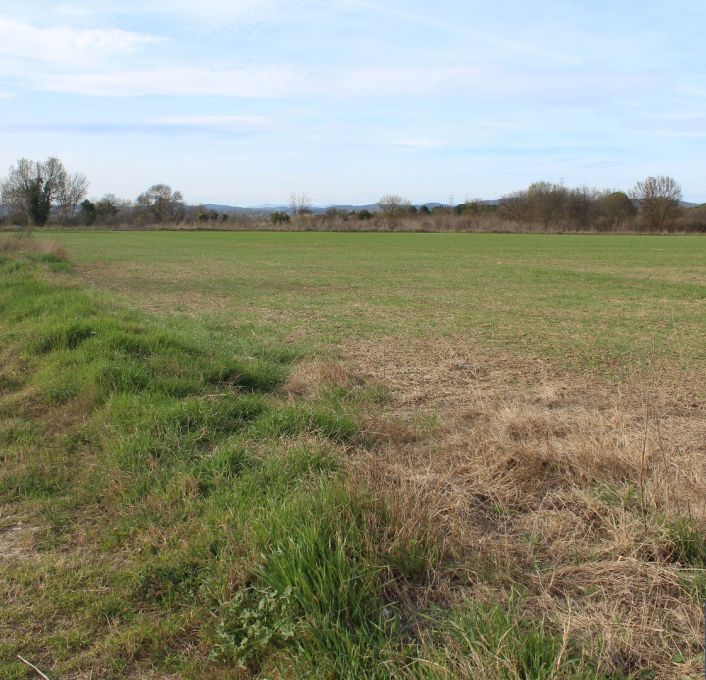 vente Terrain non constructible Fabregues