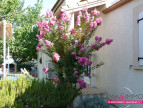 vente Maison Fabregues