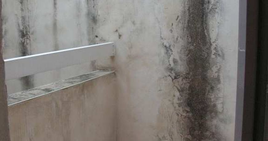 vente Appartement Fabregues