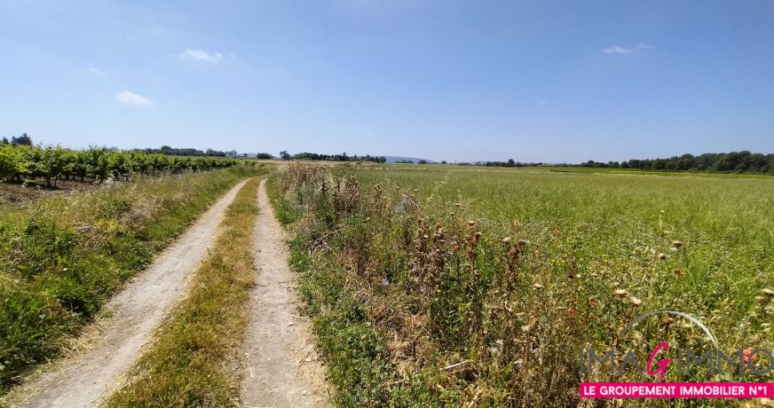 vente Terrain agricole Pignan