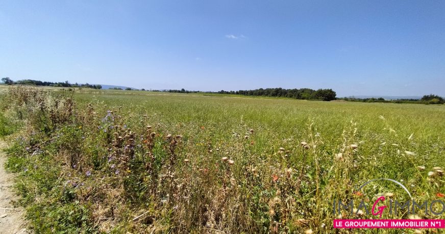 vente Terrain agricole Pignan