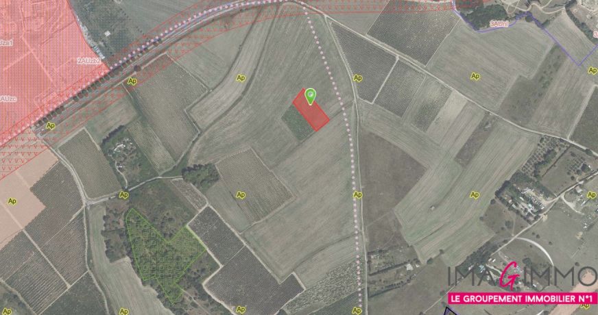 vente Terrain agricole Pignan