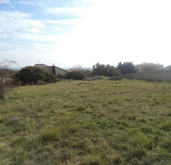 vente Terrain Cournonterral