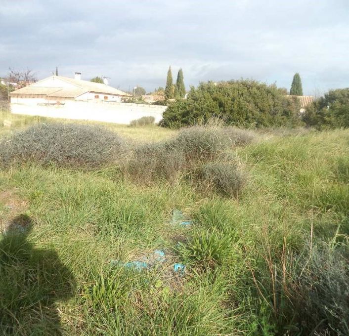 vente Terrain Cournonterral