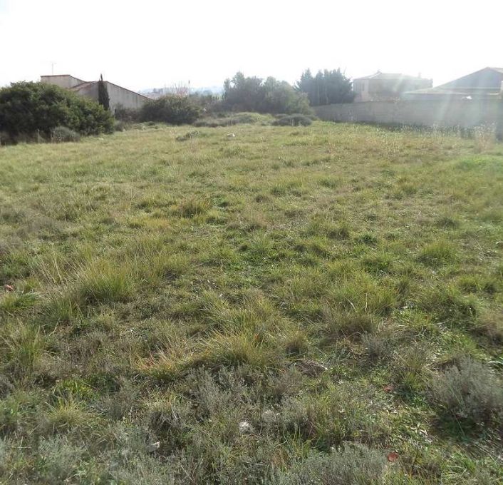 vente Terrain Cournonterral