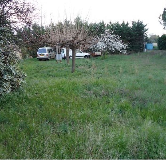 vente Terrain constructible Cournonsec