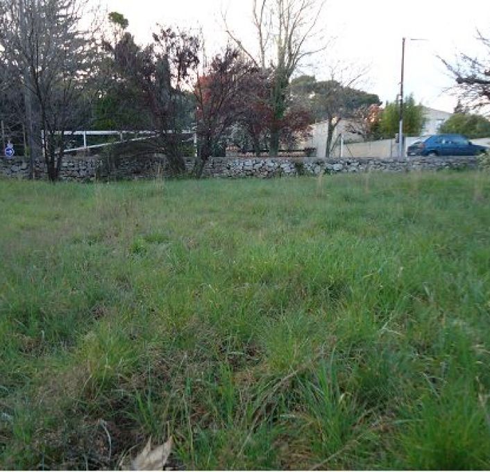 vente Terrain constructible Cournonsec