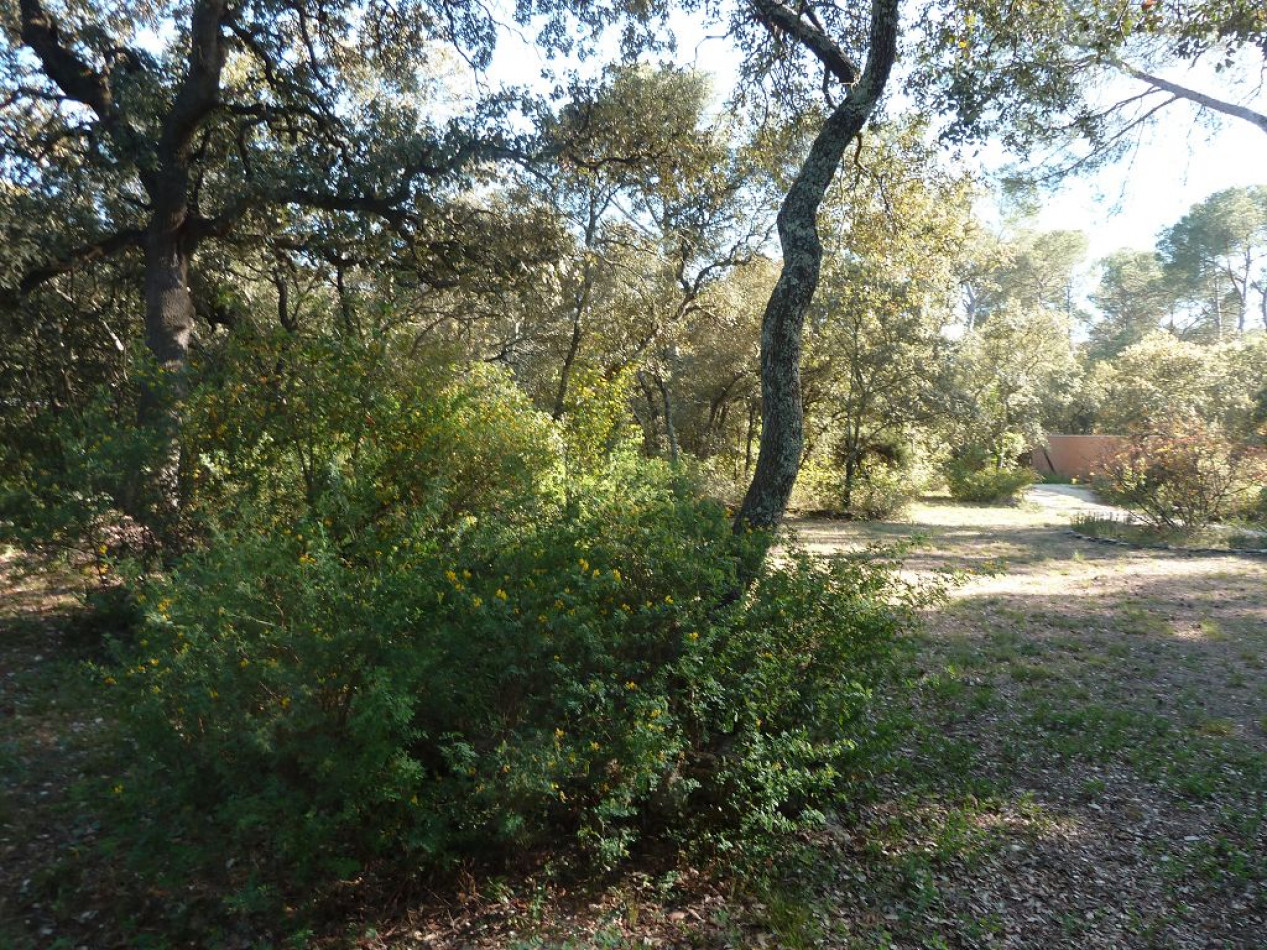 à vendre Maison de caractère Castries - Photo 5