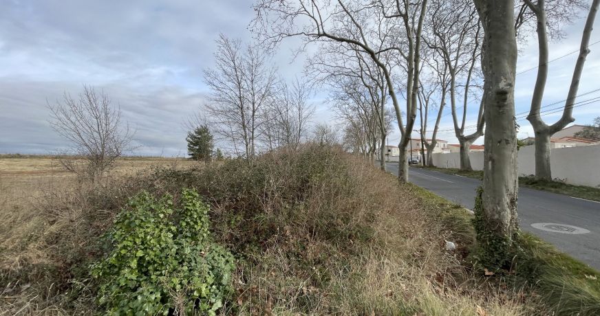 vente Terrain Bassan