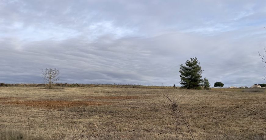 vente Terrain Bassan